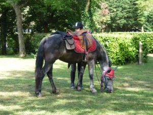 randonneur a cheval