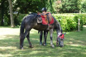 randonneur a cheval