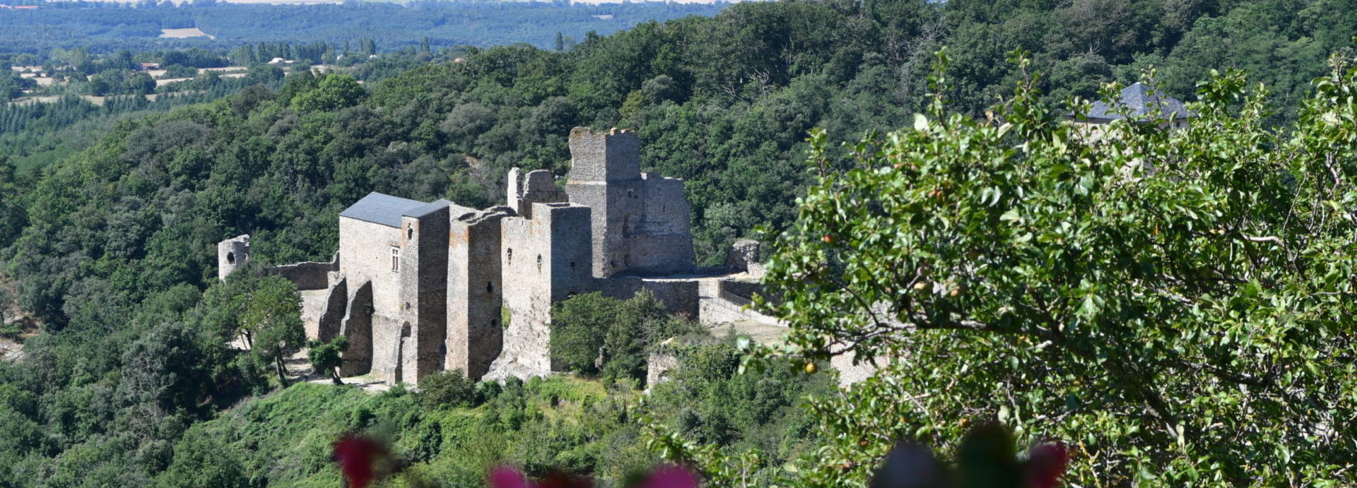 Chateau cathare de saissac près de carcassonne dans laude
