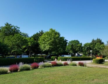 Campingplatz Aude Carcassonne Blumen