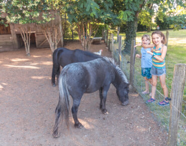 Campsite Aude Carcassonne pony