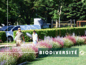 LA BIODIVERSITÉ