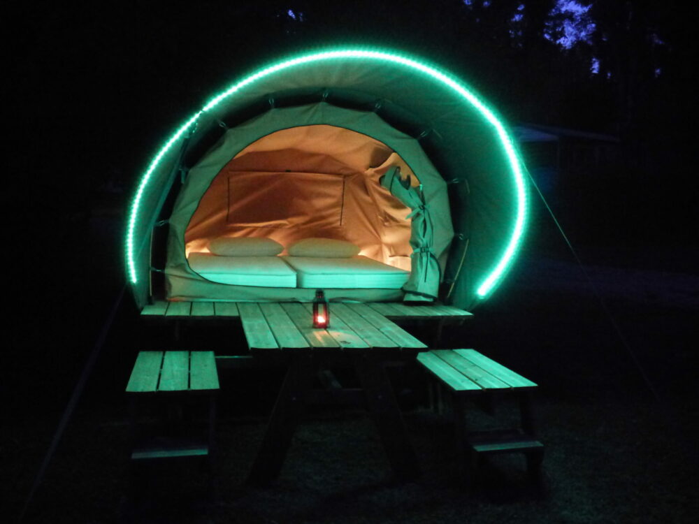 CampSite-Dude-Carcassonne-Lokalisierung-Insolite-Dkbane-8-scaled-e1679046544531