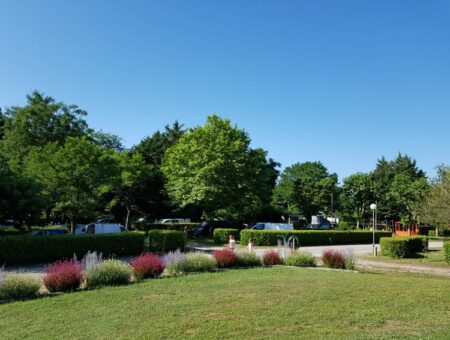 Camping Aude Carcassonne fleurs