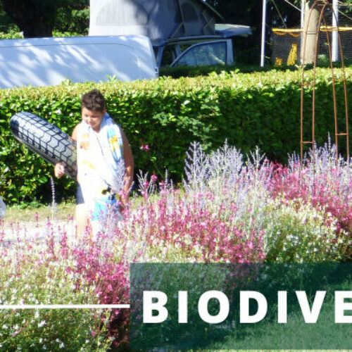 Biodiversité