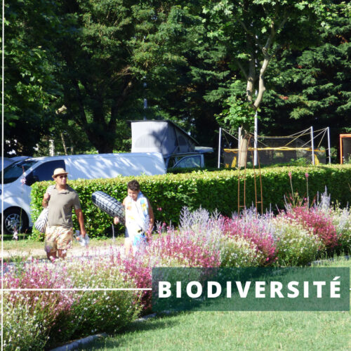 Biodiversité